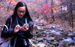 国产乱码卡一卡二卡三新区